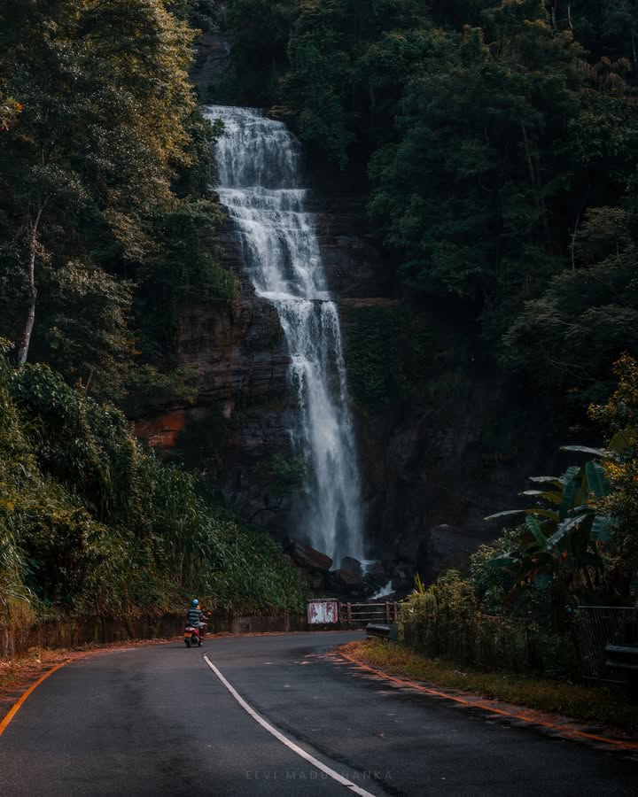 2025දී හිතෙන හිතෙන හැමතැනම ඇවිදින්න හැමෝටම පුළුවන් වේවා! සුබ නව වසරක් වේවා 😍😘💚