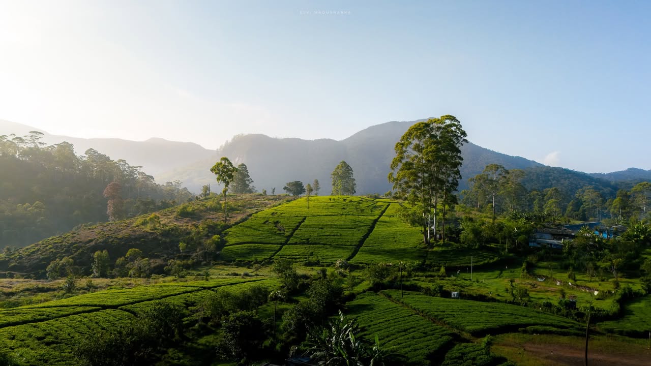 රජමලේ අපි නැවතිලා ඉදපු තැන