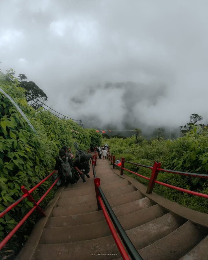 හැටන් පාර