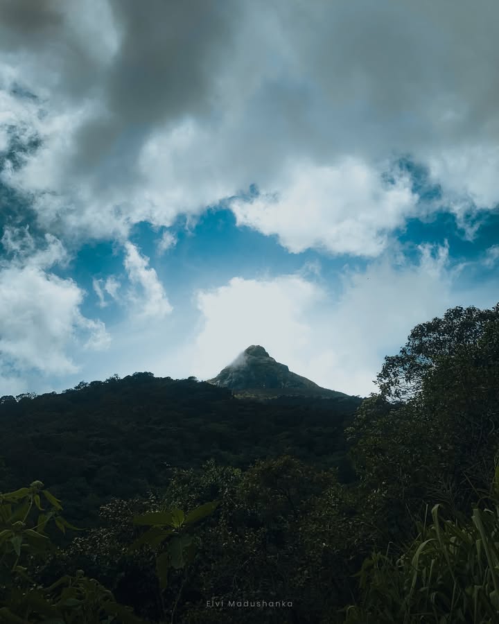 නල්ලතන්නියේ ඉදන් මළුව 😍
