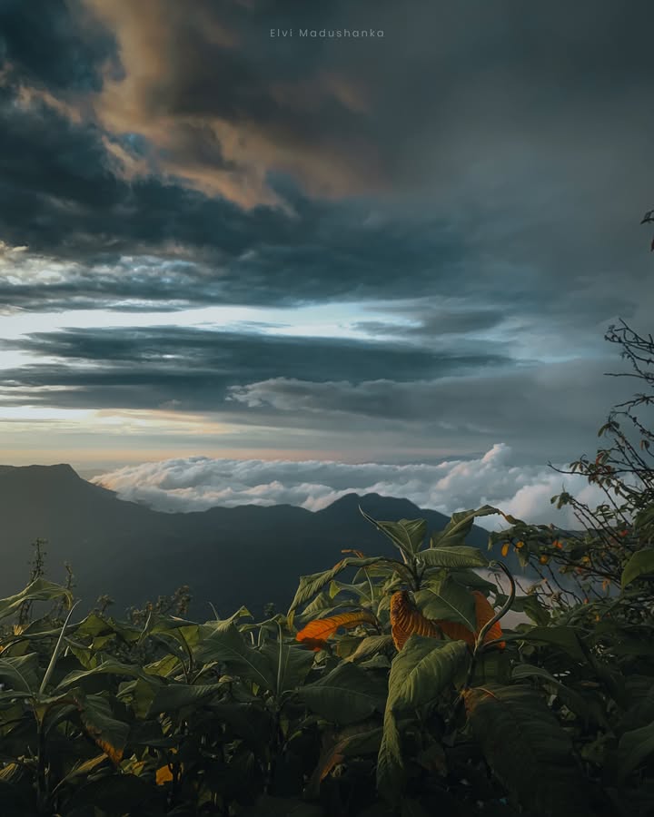 ඉර උදාව බලන ගමන් 🥺