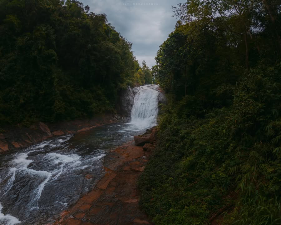 මාකෙලි ඇල්ල