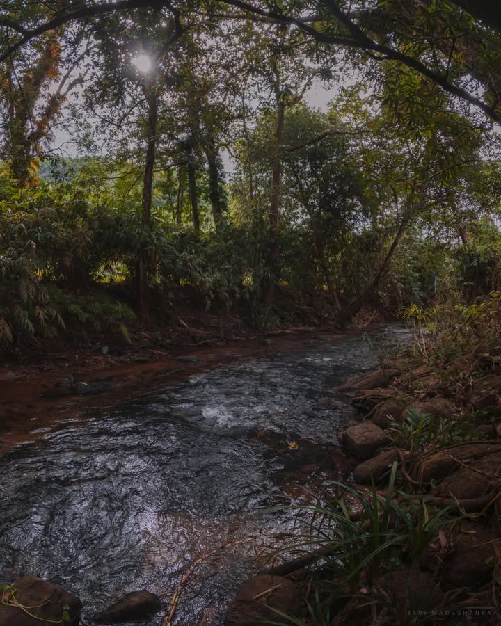 මාකෙළි ඇල්ලෙන් හැදෙන ඔය