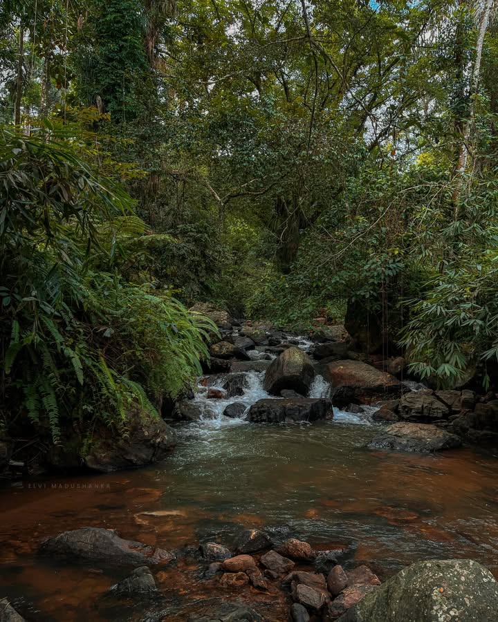 මාකෙලි අල්ලට යද්දී හම්බෙන පොඩි පොඩි ලස්සන හැංගිලා තියෙන දිය ඇලි