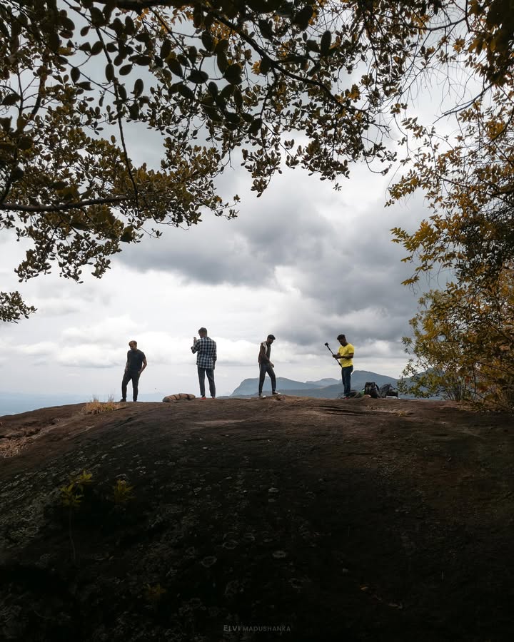 බණ්ඩා මාමගේ පැලට කලින් හම්බෙන පලවෙනි විව් එක 😍 😌