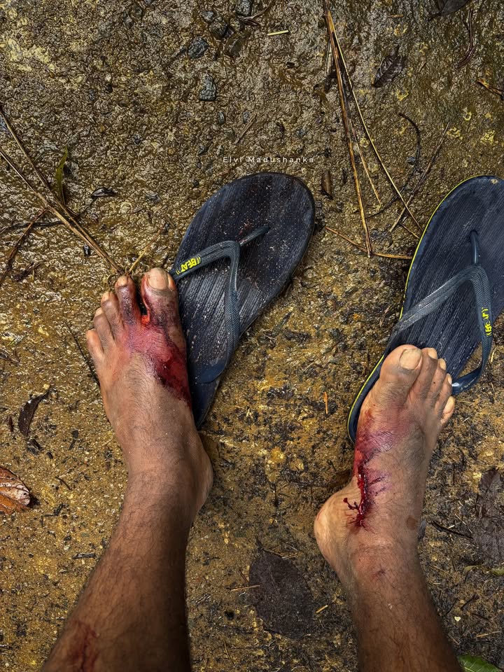 දරුණු කූඩෑලු ප්රා--හයකට ලක් උනා