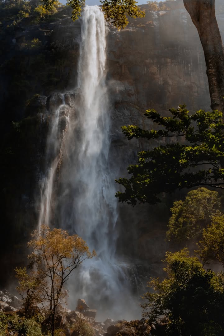 දියළුම ඇල්ල