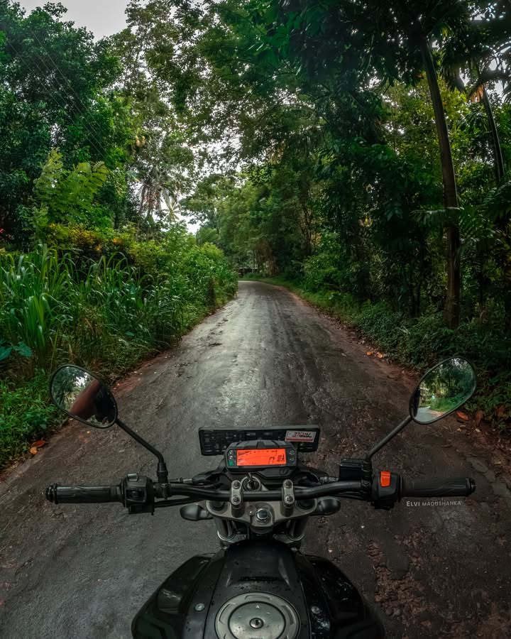 බුලත්කොහුපොටියෙන් දොළොස්බගෙට යන පාරේ