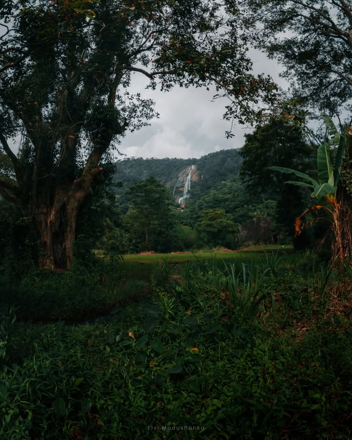 දියවිනි ඇල්ලට යන ගමන්