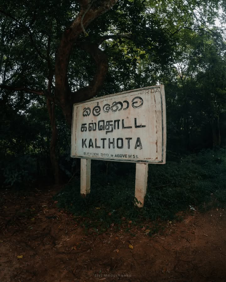 කල්තොට <3