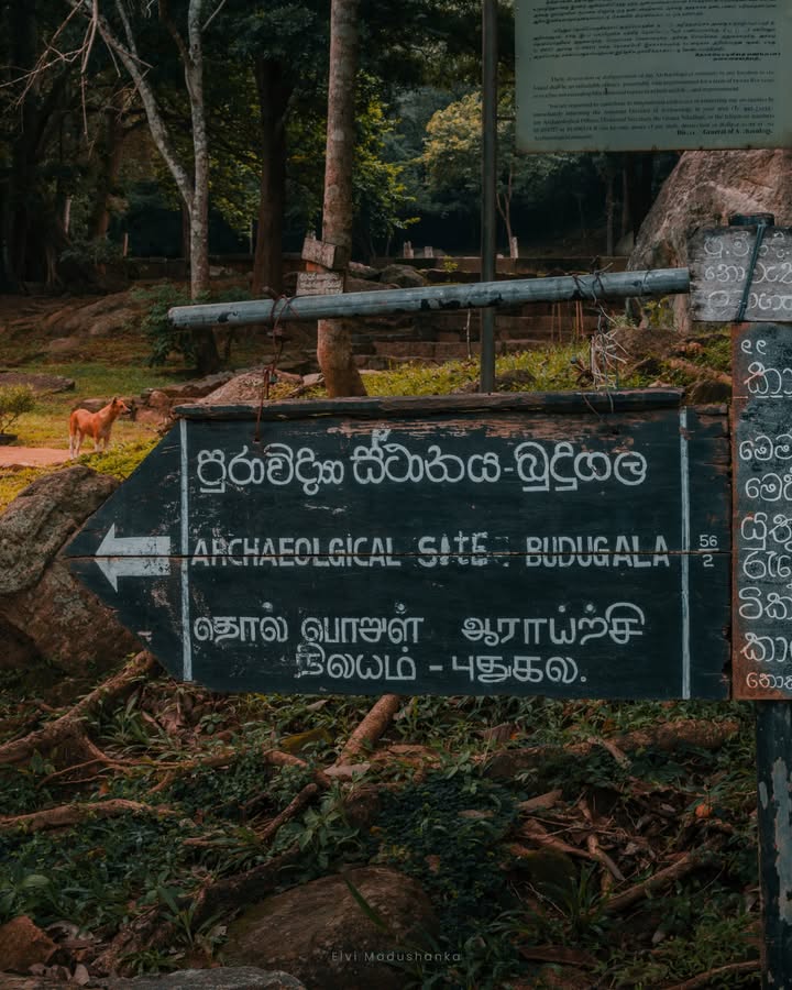 බුදුගලට යන පාරේ