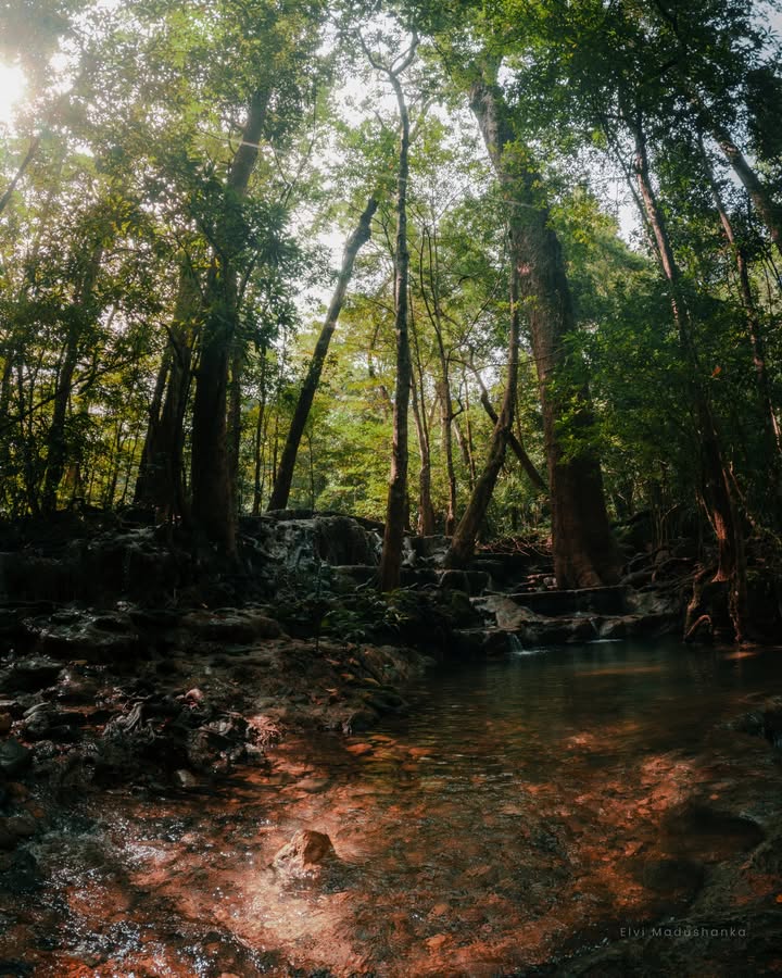 හුණුගල් පොකුණ සම්පුර්නම පෙන්න