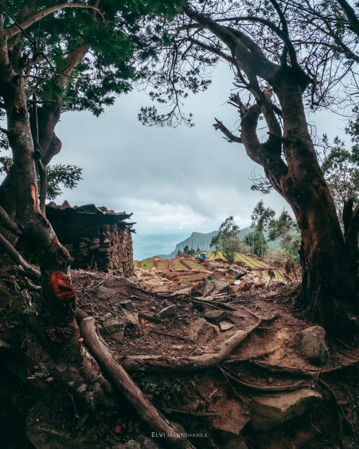 වගාබිමක් මේ පොඩි පැල්පත වගේ තියෙන ගෙදරට තියෙන්නේ හිතා ගන්න බරි විව් එකක් මෙතැනට කුරගල ඉදන් පේනවා.