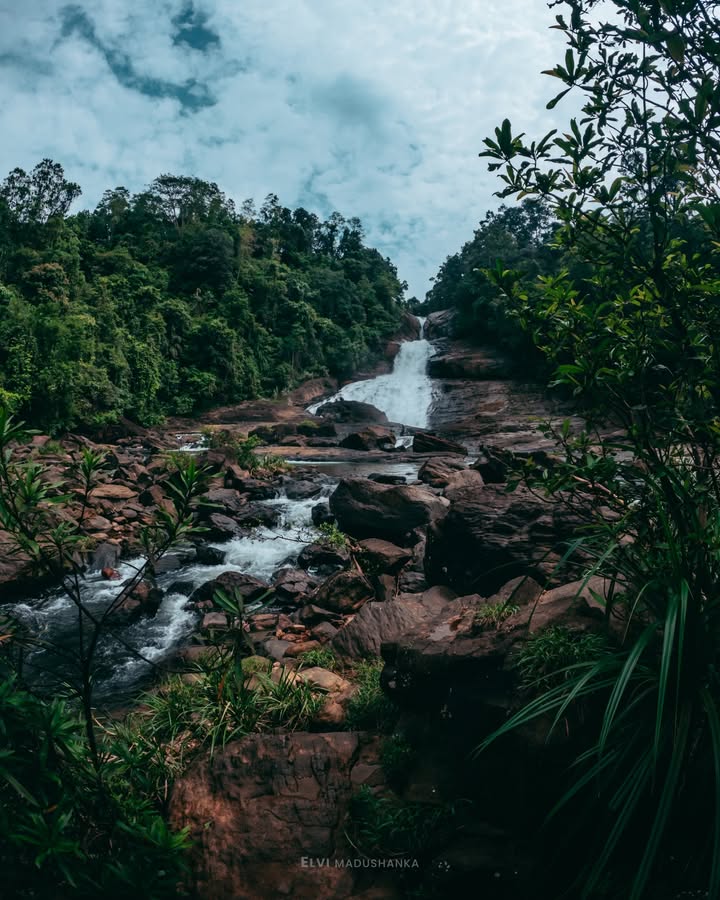 බෝපත් ඇල්ල