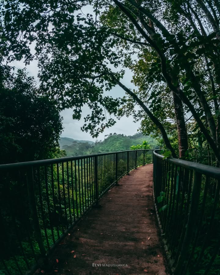 අවිස්සාවේල්ල බෝට්නිකල් ගාර්ඩන් එක