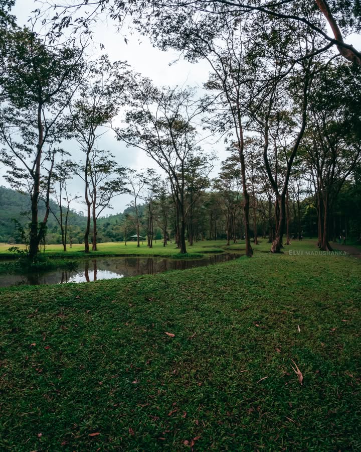 අවිස්සාවේල්ල බෝට්නිකල් ගාර්ඩන් එක