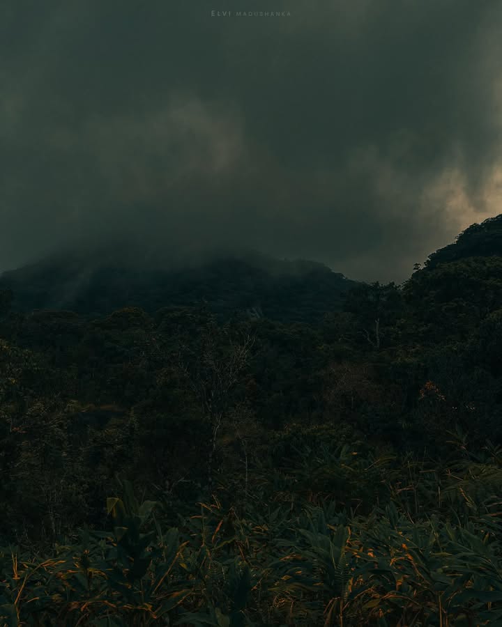 මළුව මීදුමෙන් වැහිලා