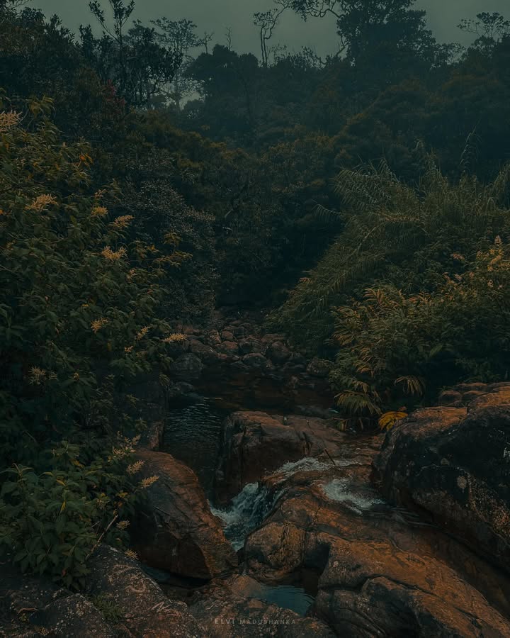 සිත ගගුල වතුර එහම ටිකක් අඩුයි