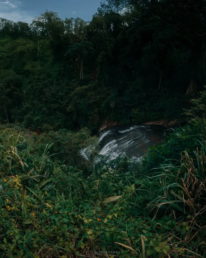 දෙමල ඇල්ල පාරේ යන ගමන් පේන විදිහ