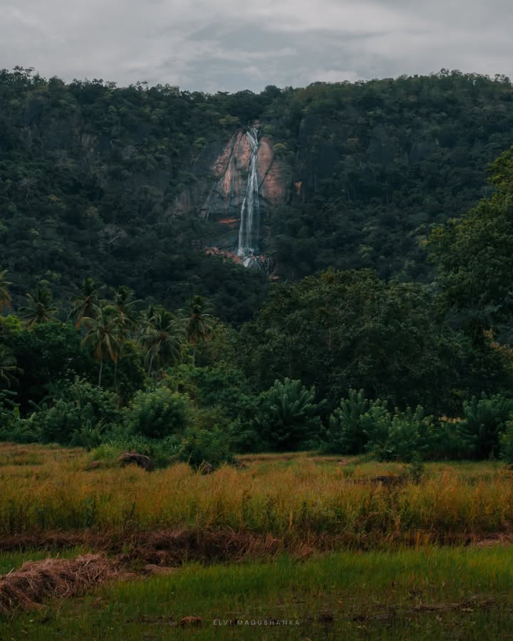 දිය-විනි ඇල්ල