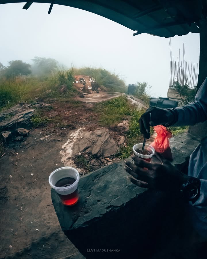 චතුරංග මල්ලිගේ වැඩි සිනි ප්ලේන්ටියකුත් ගහන ගමන් ඊළගට යන්නේ කොහෙද කියලා ප්ලැන් කළා :3