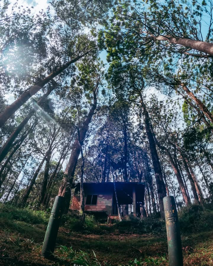 මතකද මේ ගෙදර