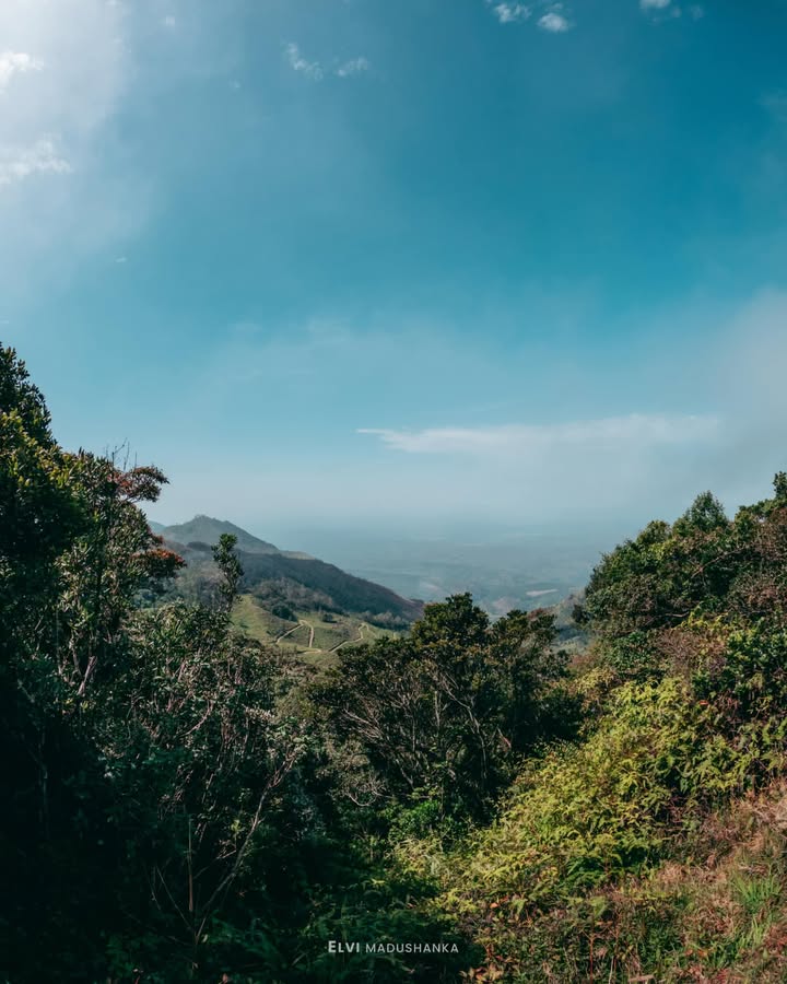 පහලින් පෙන්නේ දිව්‍ය ලෝකය