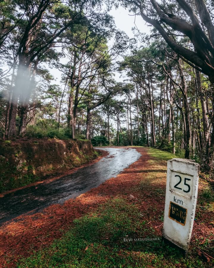 ඔහියේ පාරවල්