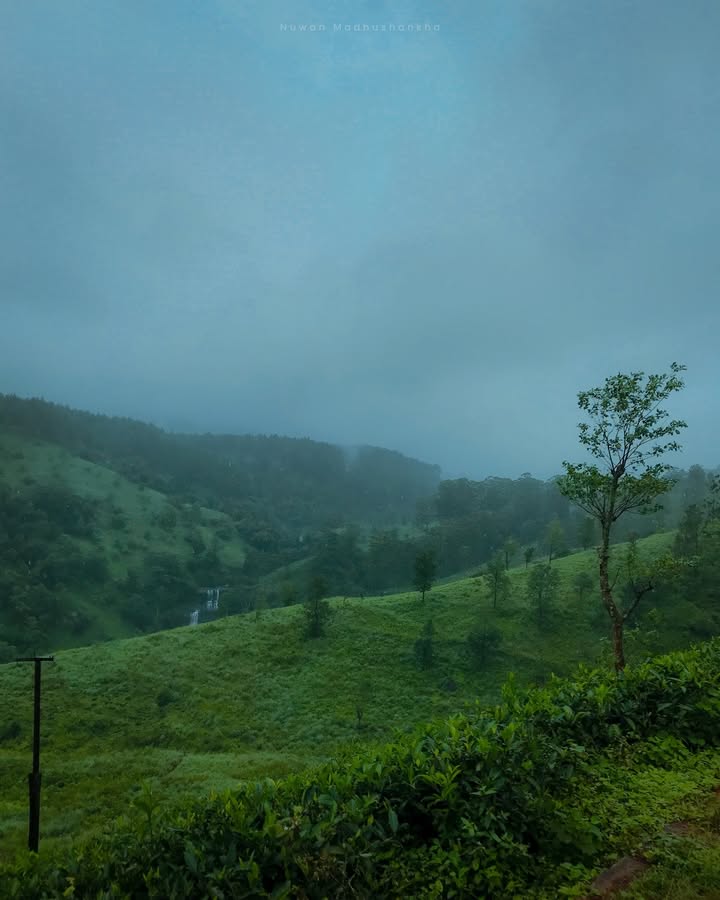 තාලිය වැටුන ඇල්ල දුර ඉදන්
