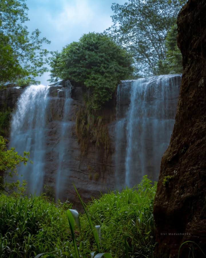 ජෝඩු ඇල්ල