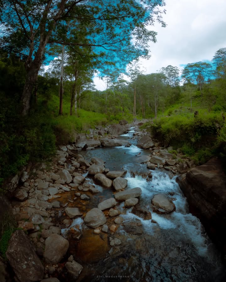 Bambarella Natural Pool එක