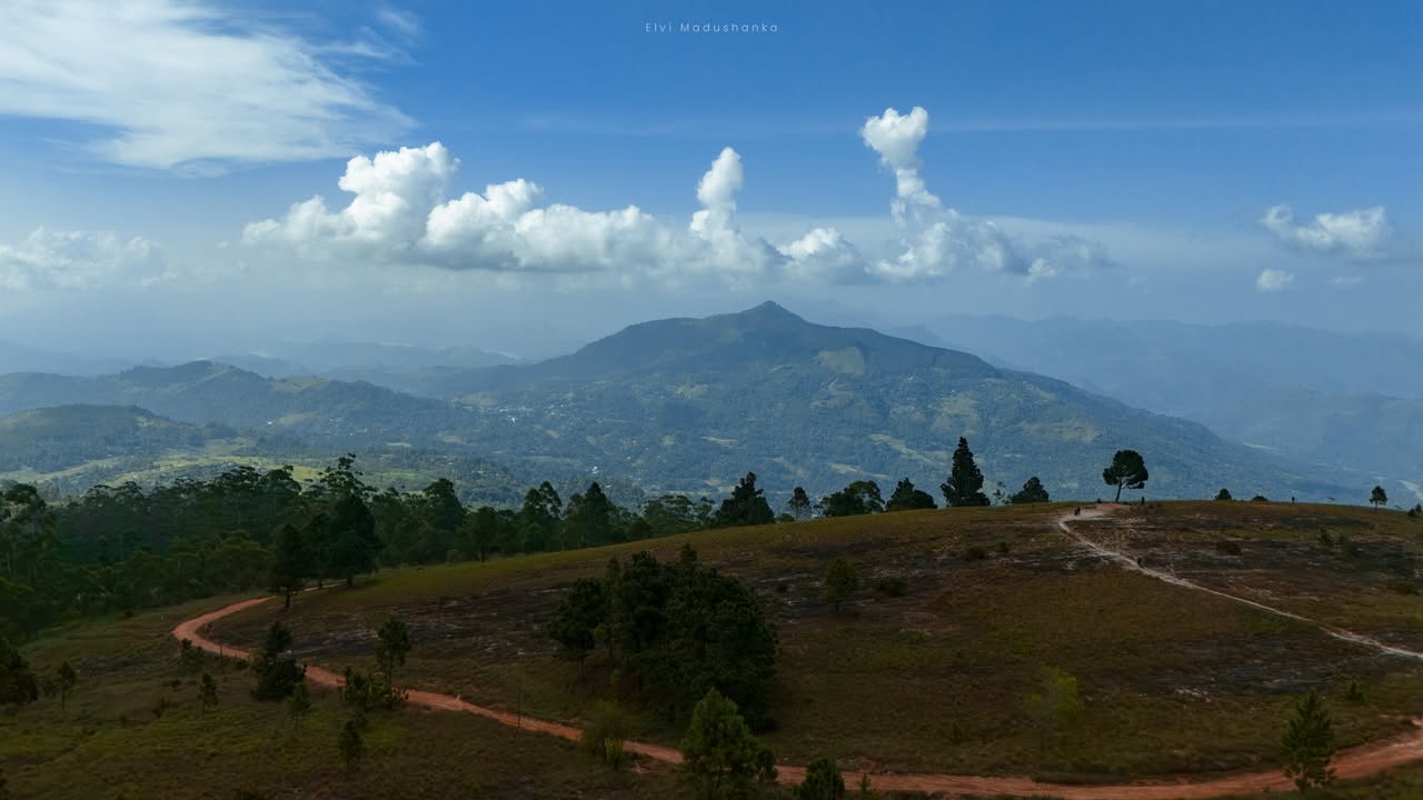 Eastland View Point එකට යන පාර