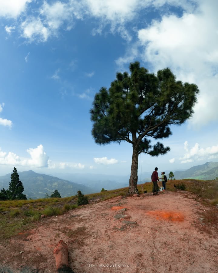 Eastland View Point එකේ කන ගමන්