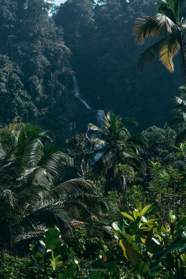 මාපලාන ඇල්ල දුර ඉදන්
