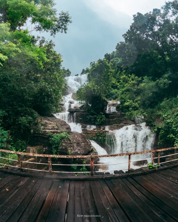 ඔළු ඇල්ල සහ ලී පාලම