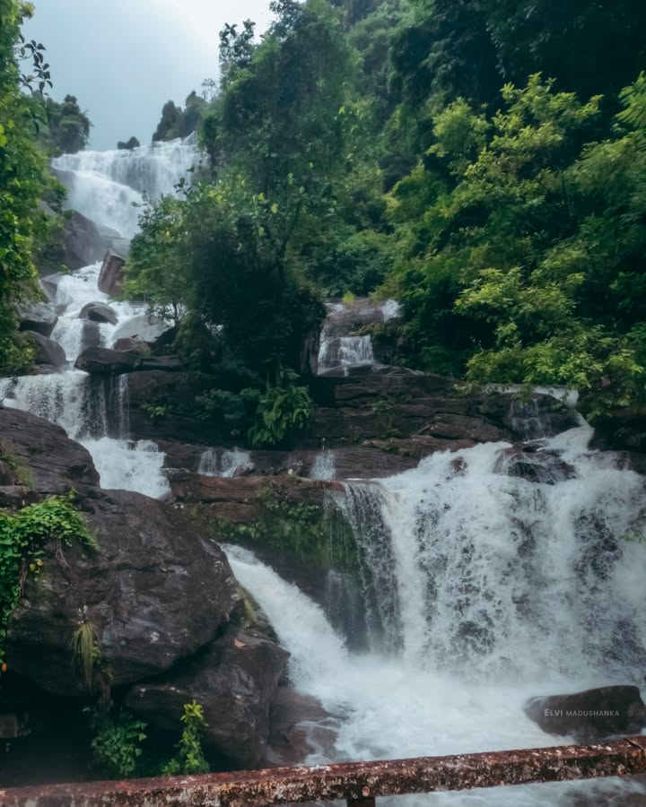 <3 මේක ඉස්සරහ මේ දවස් වල ෆොටෝස් ගහන්න අමාරුයි ලෙන්ස් එකේ පින්න