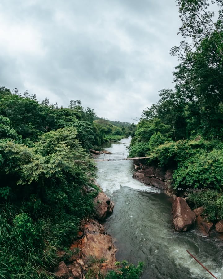 ඔළු ඇල්ලේ ඔක්කම ඇලි ටිකේ වතුර එකතු වෙන වී ඔය <3
