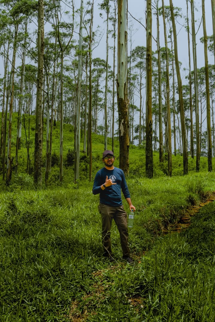 Millennium Viewpoint යන පාර දිගේ