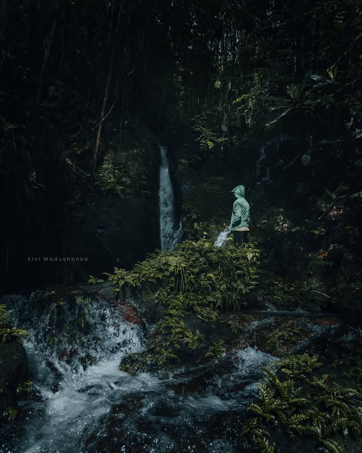 මෝහිනී ඇල්ල