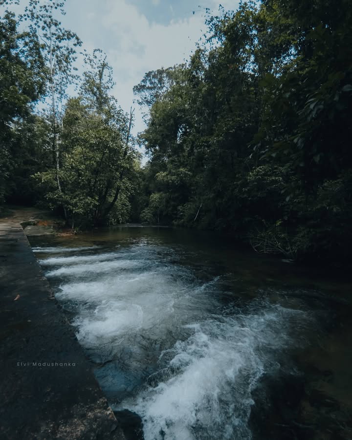 රූණකන්ද රක්ශිතේ
