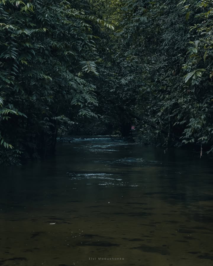 රූණකන්ද රක්ශිතේ
