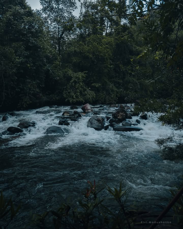 දිගන්න ඇල්ලේ පහල