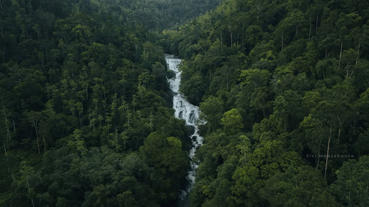 දිගන්න ඇල්ල drone එකට පේන විදිහ
