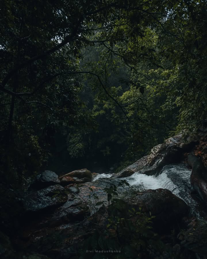 හත්බඹ ඇල්ල උඩ කොටසේ මේක නම් වෙනස්ම vibe එකක් හොදටම වහින වෙලාවක කැලේ ඇතුලේ ඇල්ලක් දිගේ උඩට නගිනවා කියන්නේ