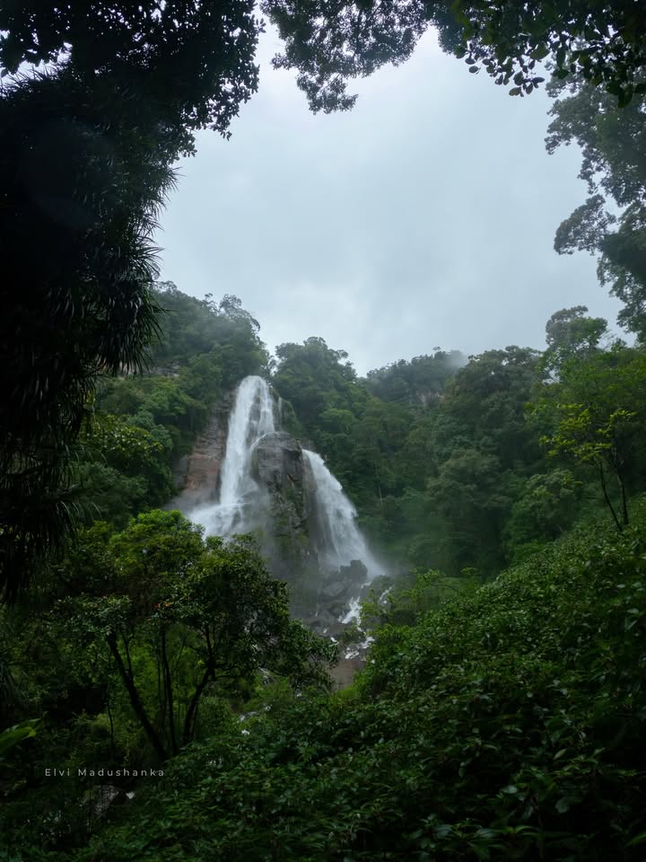 කූනිස්සන් ඇල්ලට පාරක් හදාගෙන බැහැලා පහලට යන ගමන්