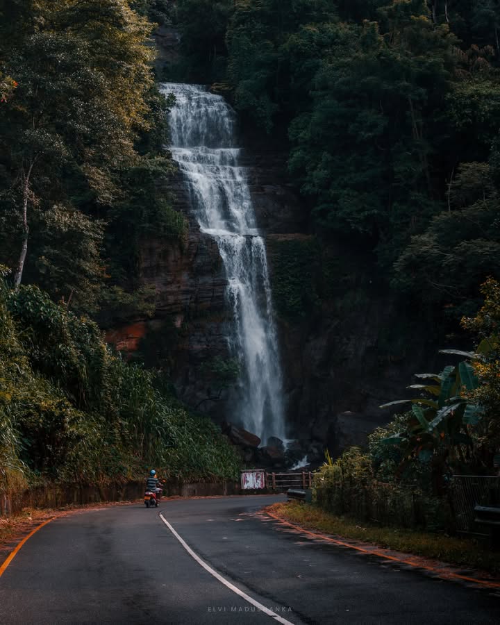 දෙහෙන ඇල්ල වේවැල්වත්ත පාරේ