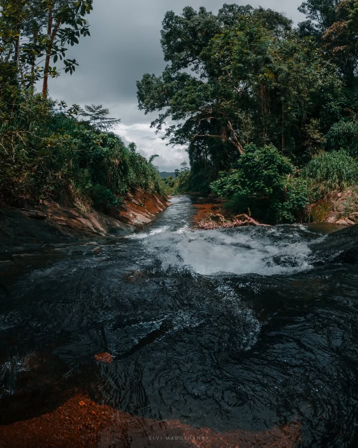 දෙමල ඇල්ල උඩ