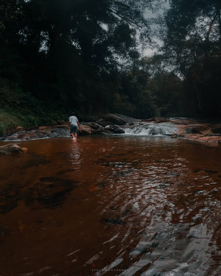 දෙමල ඇල්ලේ උඩ කොටසේ