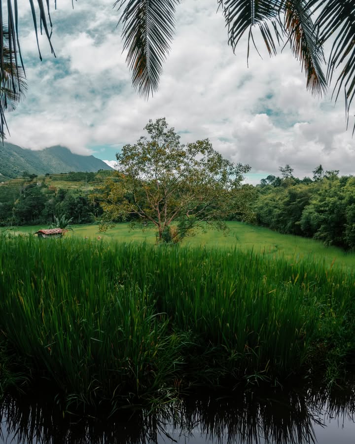 ඇ-ල්ලේ-වල දිය ඇල්ලට යද්දී හම්බෙන වෙ-ල් යාය