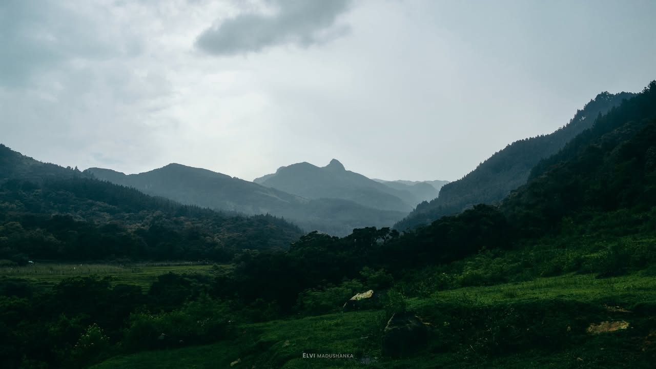 අපි කැම්ප් කරපු තැන ❤
